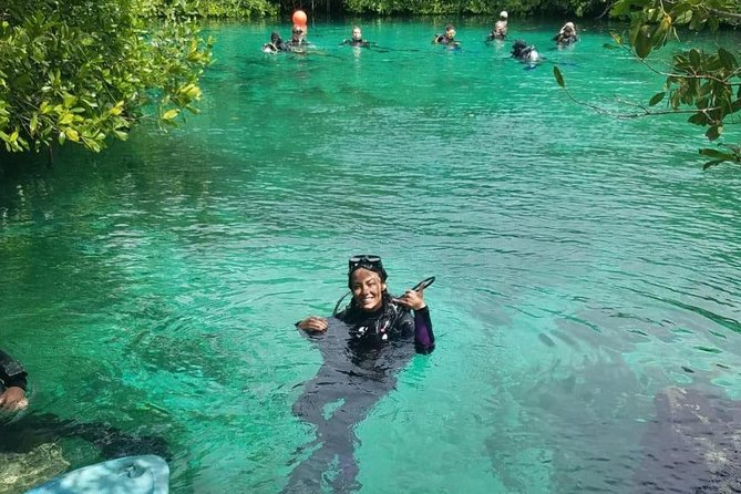 Discover Scuba Diving at Casa Cenote - Key points to know before booking