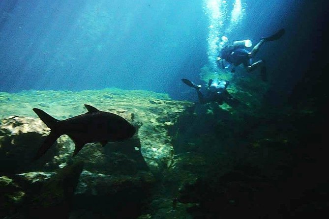 Discover Scuba Diving at Casa Cenote - Learning safety skills at Casa Cenote