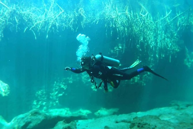 Discover Scuba Diving at Casa Cenote - Is $190 a fair price?