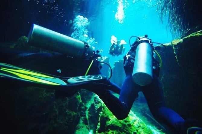 Discover Scuba Diving at Casa Cenote - What happens at the 9 a.m. meeting point