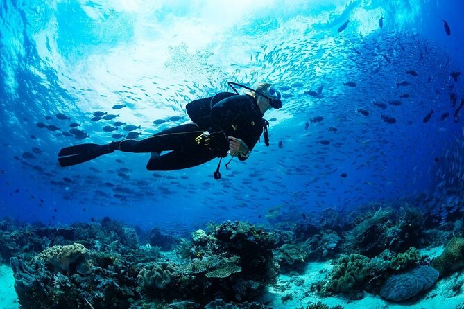 Discover Scuba Diving & Beach Club with Transportation In Riviera Maya - Shared transportation and the noon start