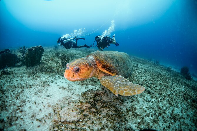 Discover Scuba Diving & Beach Club with Transportation In Riviera Maya - Booking, weather, and cancellation details