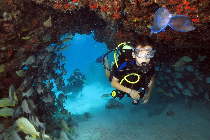 Discover Scuba Diving Course in Playa del Carmen with Two Coral Reef Dives - Morning class and pool practice from 8:00 to 11:00