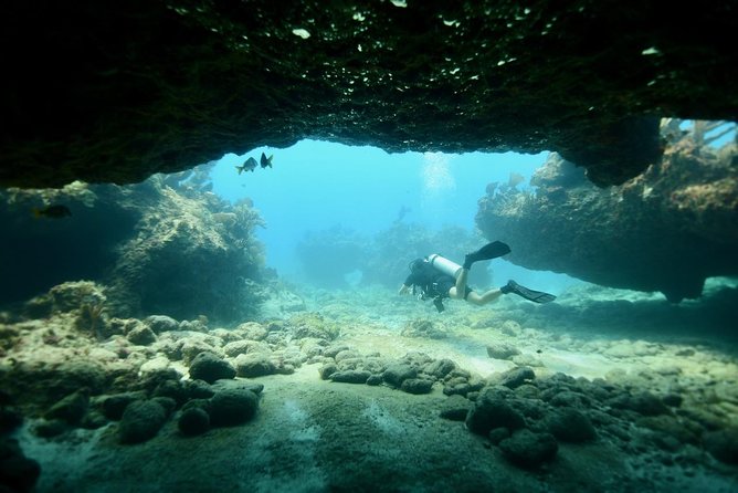 Discover Scuba Diving in Tulum - The 30-minute lesson: useful, not filler