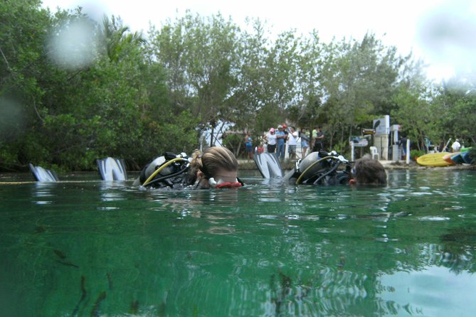 Discover Scuba Diving in Tulum - The 30 to 40 minute underwater exploration