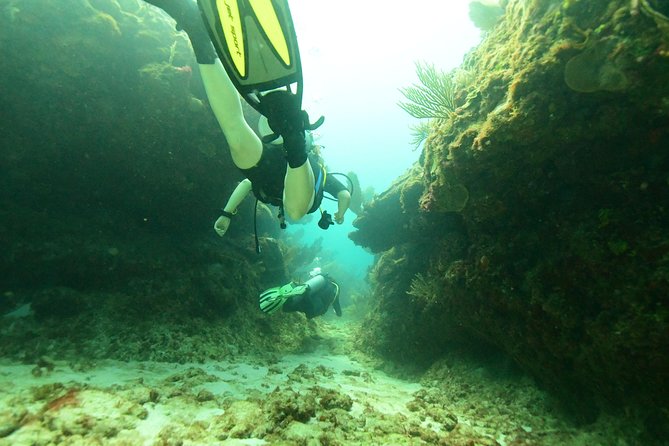 Discover Scuba Diving in Tulum - The instructors are the strongest part of the package