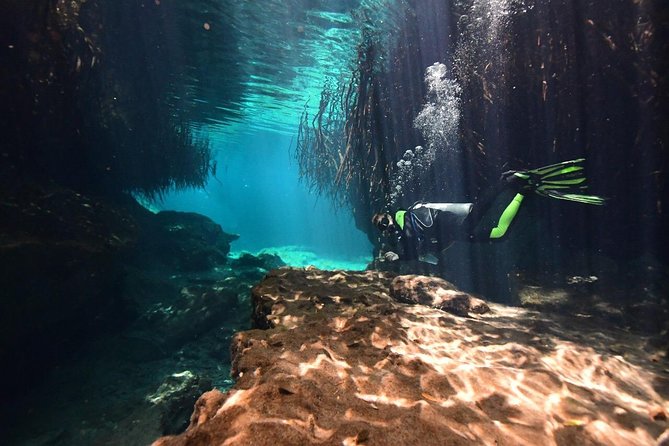 Discover Scuba Diving in Tulum - What the $140 price really covers