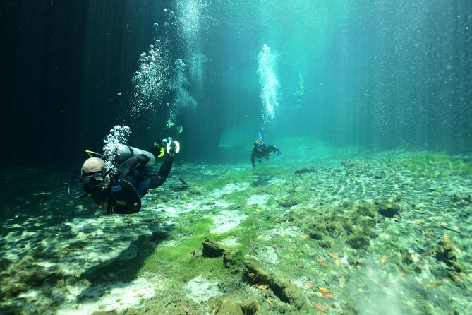 Discover Scuba Diving in Tulum - What happens at Agua Clara Diving at 8:30 a.m.