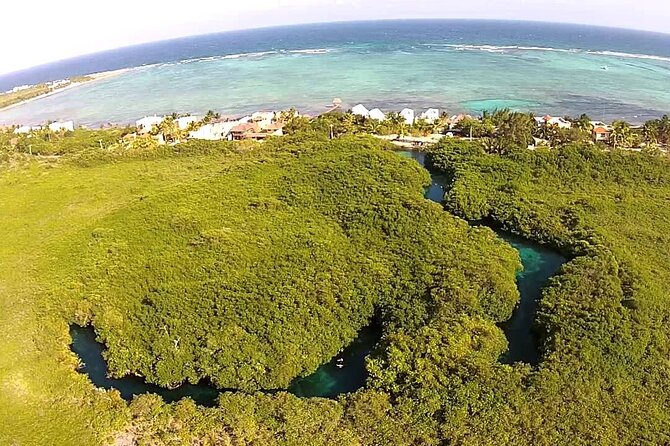 Discovering Breathtaking Cenotes in Tulum - Why Dos Ojos is the dramatic first stop