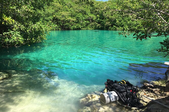 Discovering Breathtaking Cenotes in Tulum - Is $149 a fair price?