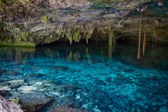 Discovering Breathtaking Cenotes in Tulum - Who will get the most from this tour?
