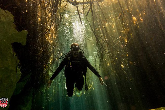 Discovery Scuba Diving - What this Tulum scuba introduction really offers