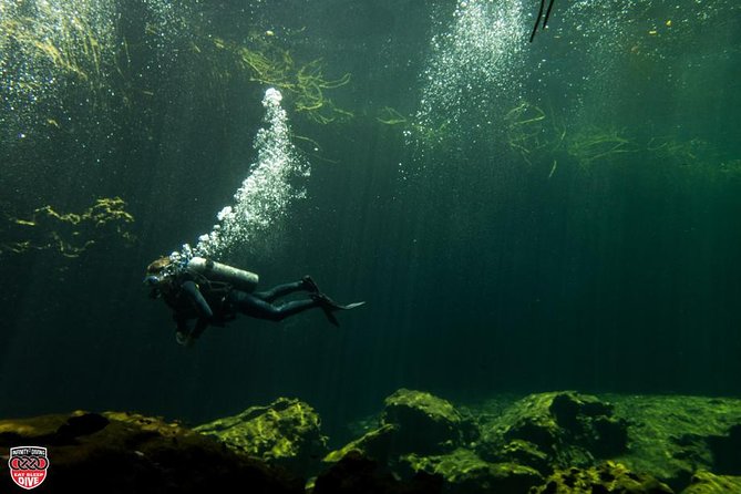 Discovery Scuba Diving - Classroom basics before you enter the pool