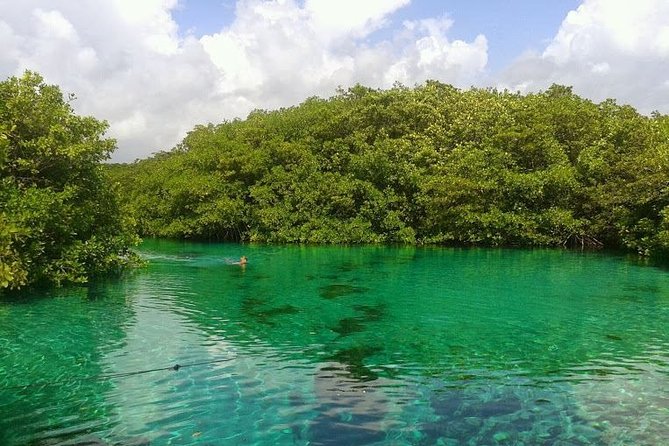 Discovery Scuba Diving - A patient instructor is the main reason to choose this