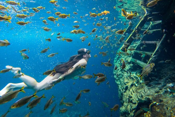 Dive into Tulum: Tour 3 Cenotes, from Riviera Maya - Who will enjoy this half-day outing