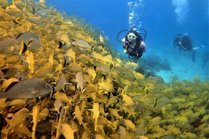 Diving in Cancun Underwater Museum of Art - Group size, comfort, and the pace underwater