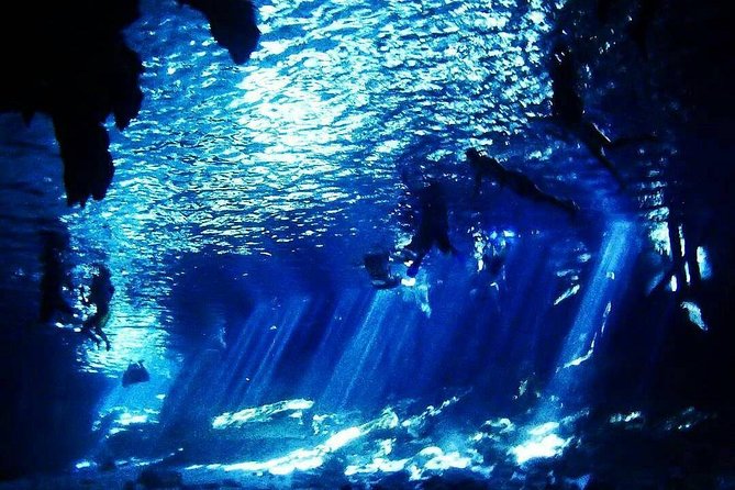 Dos Ojos Cenote Cavern Dive- The Barbie Line and The Bat Cave - How demanding is the outing?