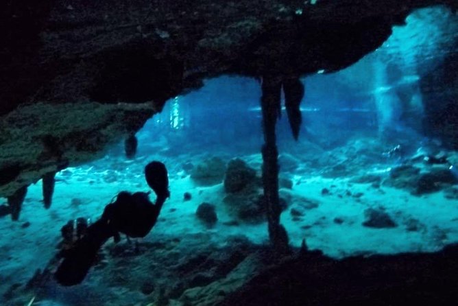 Dos Ojos Cenote Cavern Dive- The Barbie Line and The Bat Cave - The 8:00 a.m. meeting in central Tulum