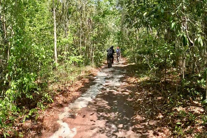 E-bike cenote jungle city tour in Playa del Carmen - Should You Book the Playa del Carmen E-Bike Cenote Tour?
