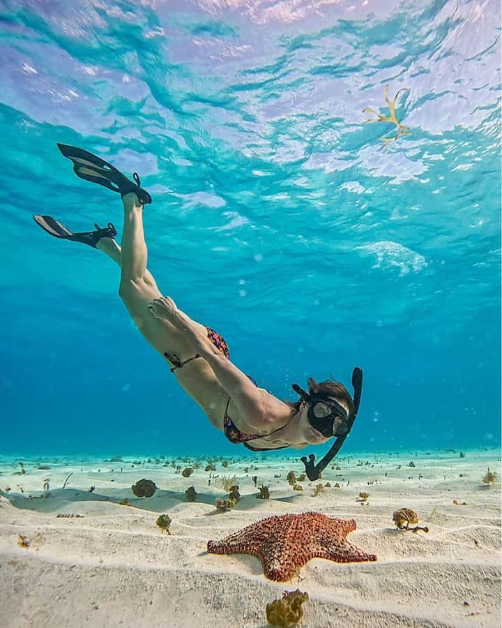 El Cielo and El Cielito in Cozumel with Beach Club, Food, and Open Bar - Key points to know before you book
