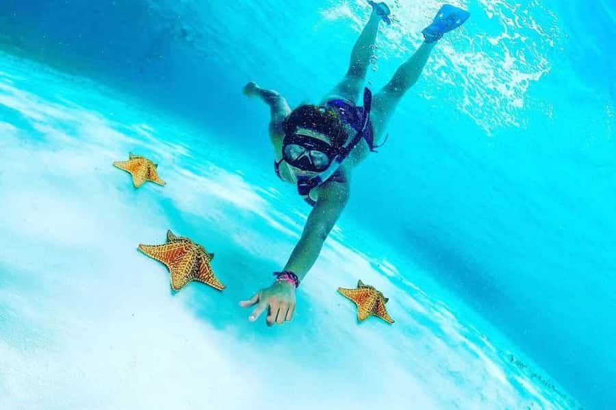El Cielo and El Cielito in Cozumel with Beach Club, Food, and Open Bar - Why El Cielo is Cozumel’s big draw