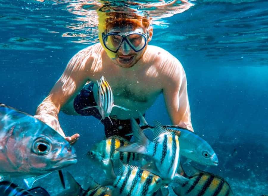 El Cielo and El Cielito in Cozumel with Beach Club, Food, and Open Bar - Who will enjoy this Cozumel tour