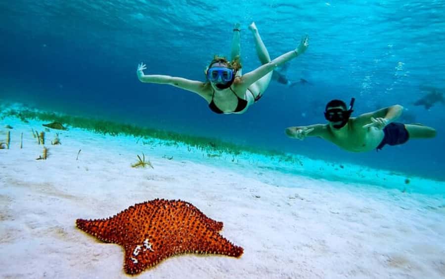 El Cielo and El Cielito in Cozumel with Beach Club, Food, and Open Bar - Should you book this El Cielo experience?