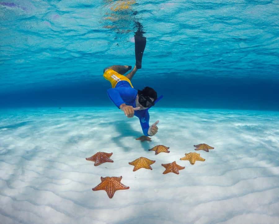 El Cielo and El Cielito in Cozumel with Beach Club, Food, and Open Bar - Palancar Reef gives the day its active edge