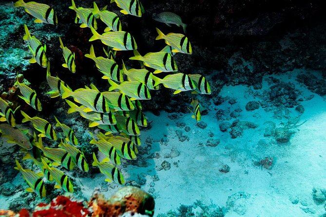El Cielo Cozumel - What the $168 price really covers