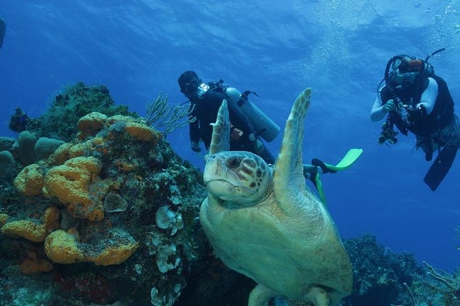 El Cielo Cozumel - Parque Nacional Arrecifes de Cozumel and the first reef stop