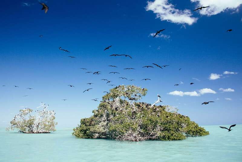Exclusive Full Day Nature Expedition in Sian Ka'an - Key points at a glance