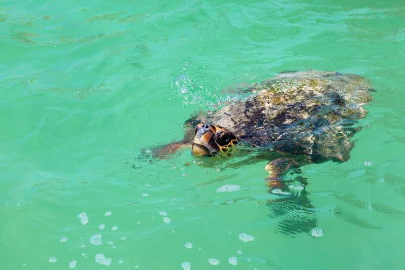 Exclusive Full Day Nature Expedition in Sian Ka'an - Who will enjoy this expedition most?