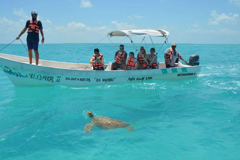 Exclusive Full Day Nature Expedition in Sian Ka'an - Why Sian Kaan feels different from a Riviera Maya beach day