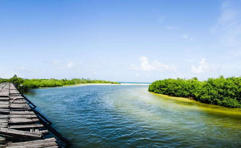 Exclusive Full Day Nature Expedition in Sian Ka'an - Punta Allen and its working-community setting