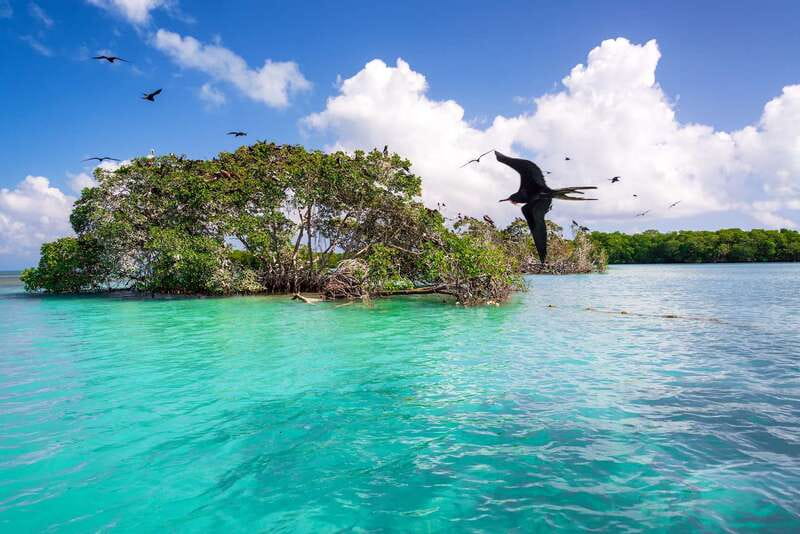 Exclusive Full Day Nature Expedition in Sian Ka'an - Reef snorkeling near Punta Allen