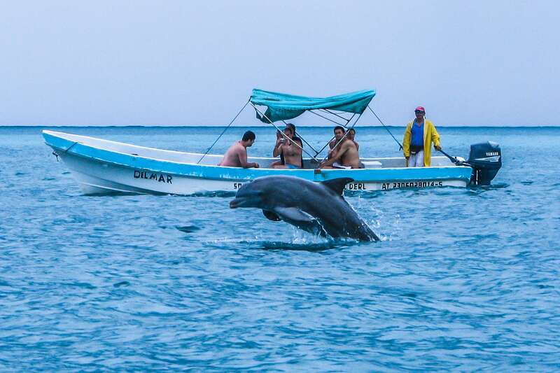 Exclusive Full Day Nature Expedition in Sian Ka'an - Lunch with local flavors