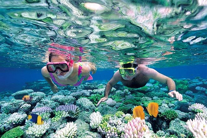 Exclusive Sailing Isla Mujeres. Top tour! - Isla Mujeres and the beach-club stop
