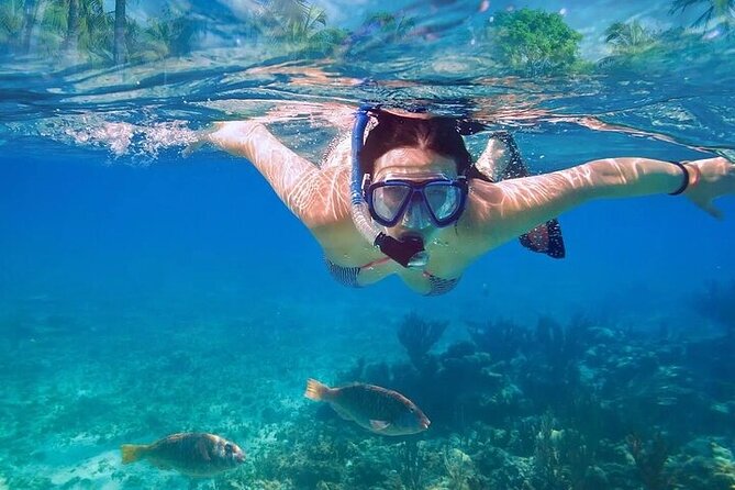Exotik half a day tour: Cenote Cave and Swimming with Sea Turtles - The real meaning of the five- to six-hour schedule
