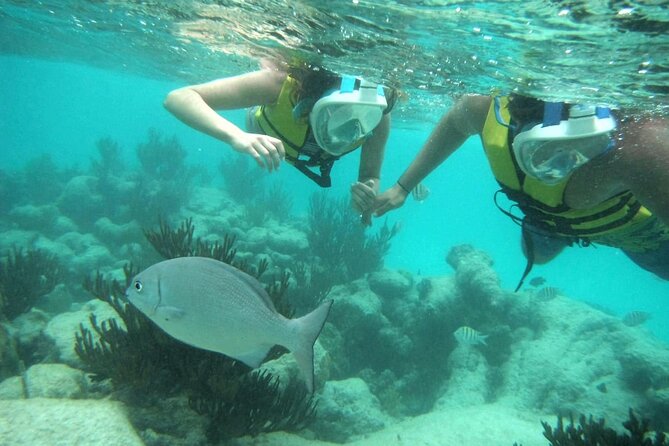 Exotik half a day tour: Cenote Cave and Swimming with Sea Turtles - Is $107.30 a fair price?
