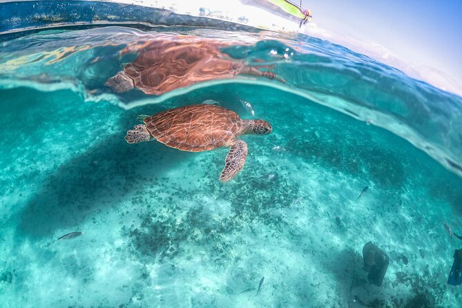 Exotik half a day tour: Cenote Cave and Swimming with Sea Turtles - What to pack for both water stops