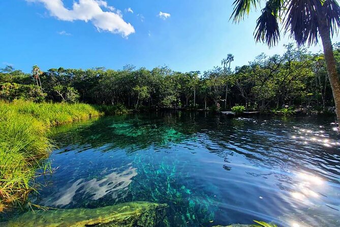 Explore Tulum Tour to Cenote and Ruins - Who Should Book This Tulum Tour?