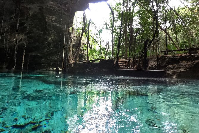 Five Cenotes Jungle Experience in the Riviera Maya - Guides who add context to the water
