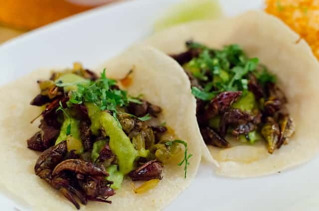 Food Hoppers 2.5-Hour Tour in Playa del Carmen - Starting near the ADO station at 5:00 PM