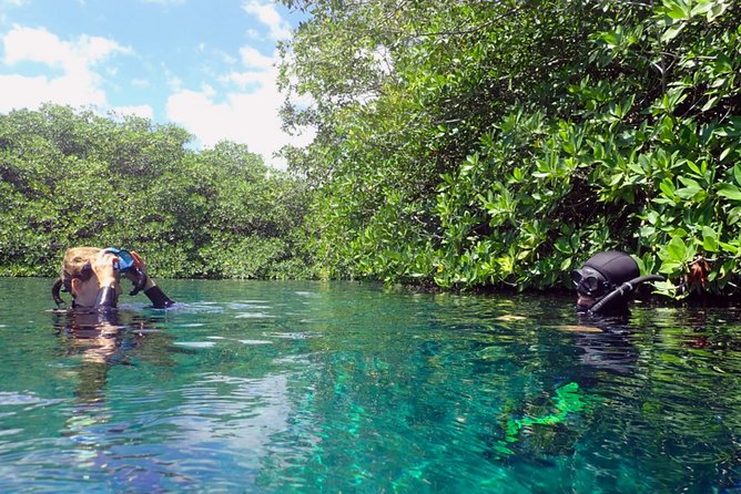 Freediving Intro for Beginners in a Cenote in Tulum Mexico - Why the instructor matters