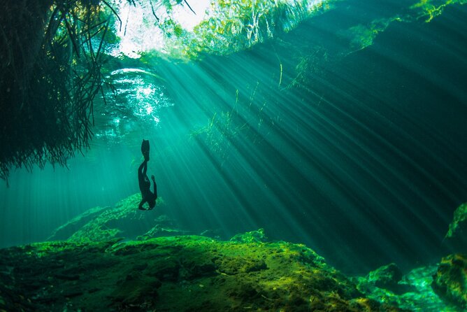 Freediving Intro for Beginners in a Cenote in Tulum Mexico - Who should book this activity
