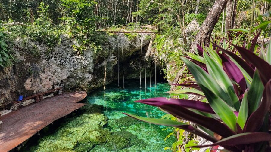 From Cancun: Day Trip to Tulum, Cenote & Playa del Carmen - Is $51 good value once fees are added?