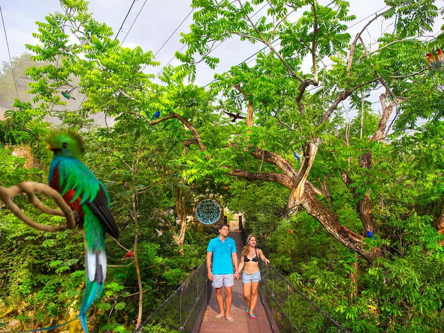 From Playa del Carmen: Xcaret Park All-Inclusive - Beaches, natural pools, and Children’s World