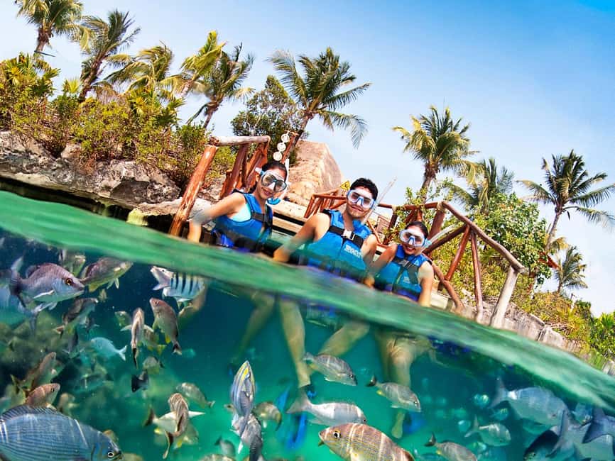From Playa del Carmen: Xel-Há All-Inclusive Park - The lighthouse, jungle trails, cenotes, and caves