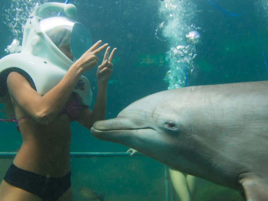 From Playa del Carmen: Xel-Há All-Inclusive Park - Who should book Xel-Há?