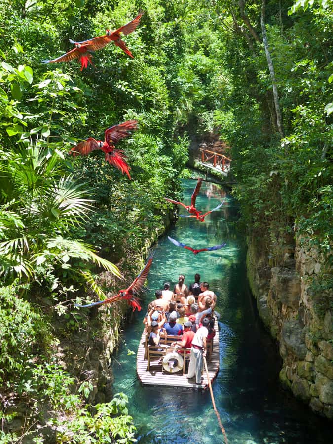 From Riviera Maya: Complete Combo to Xcaret Park! - What kind of day is Xcaret?